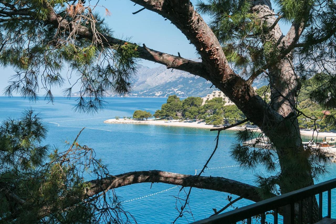 Apartments By The Sea Brela, Makarska - 16950 Esterno foto