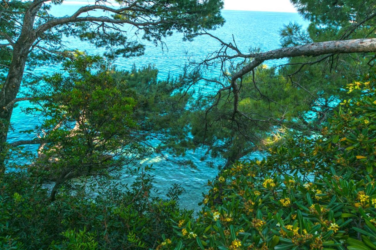 Apartments By The Sea Brela, Makarska - 16950 Esterno foto